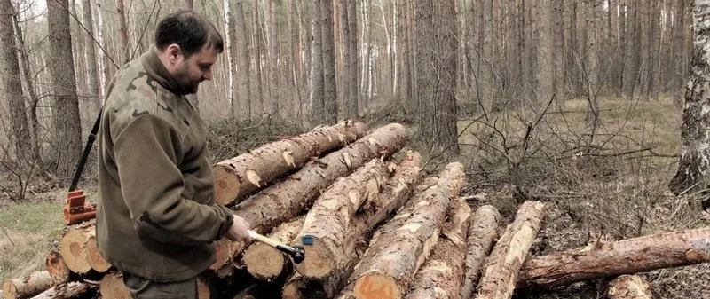 Jak wygląda praca leśnika na co dzień: życie w terenie i obowiązki