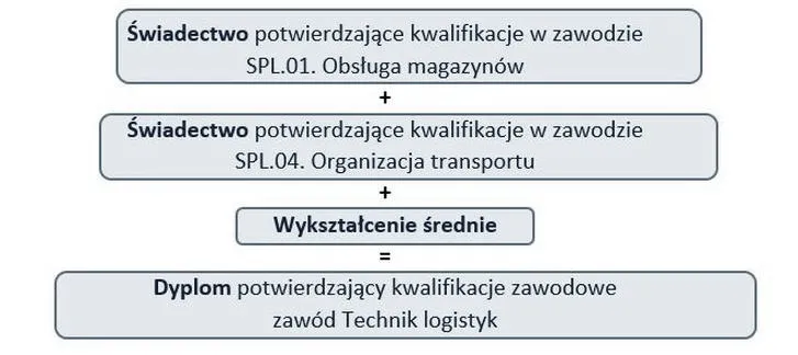 Kwalifikacje zawodowe, które przyciągną uwagę rekrutera: jak je skutecznie wpisać?