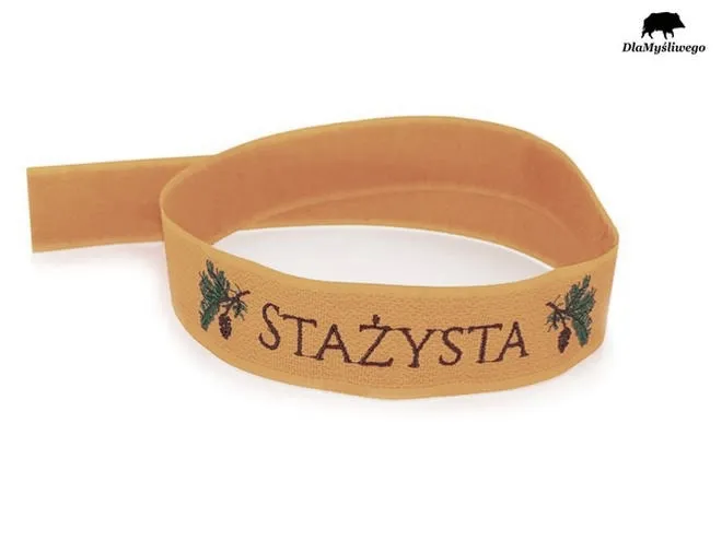 Staż z urzędu pracy — jak go dostać, ile zarobisz i co dalej?