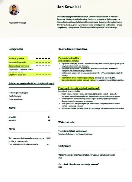 CV w PDF