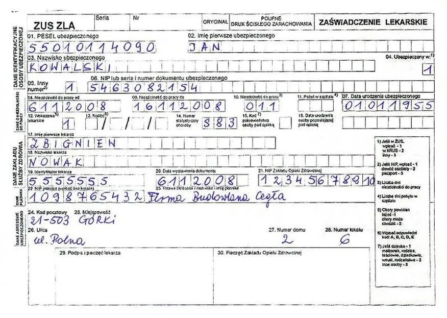 Dostęp do e-ZUS