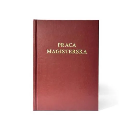 Konsultacja z promotorem