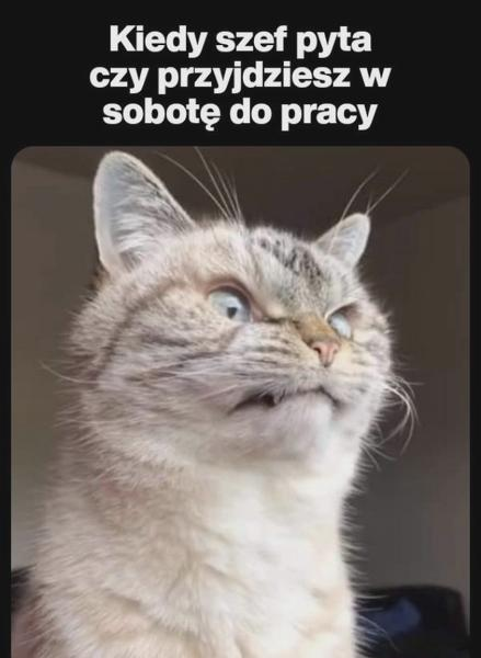 Prawa pracownika