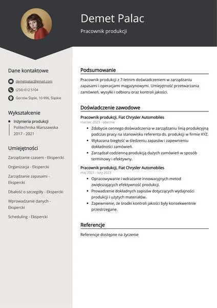 Profesjonalne CV