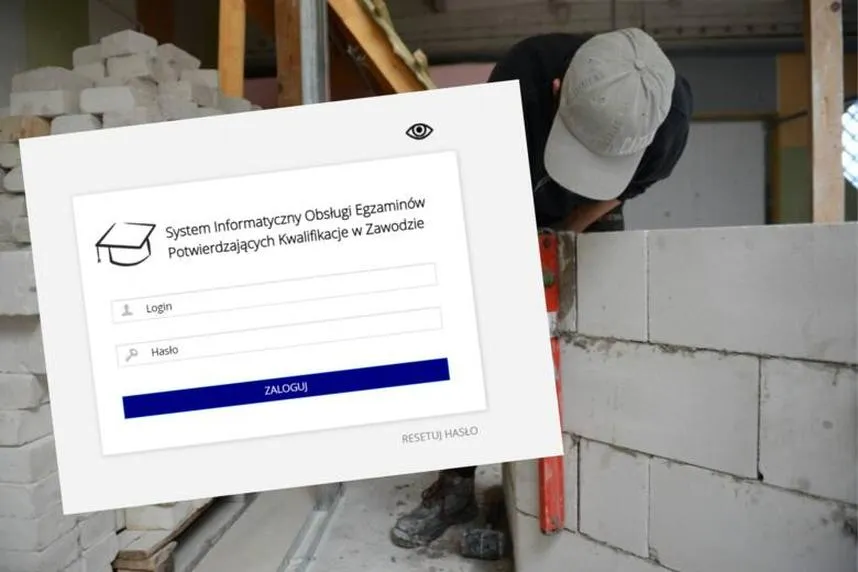 Sprawdzanie wyników online