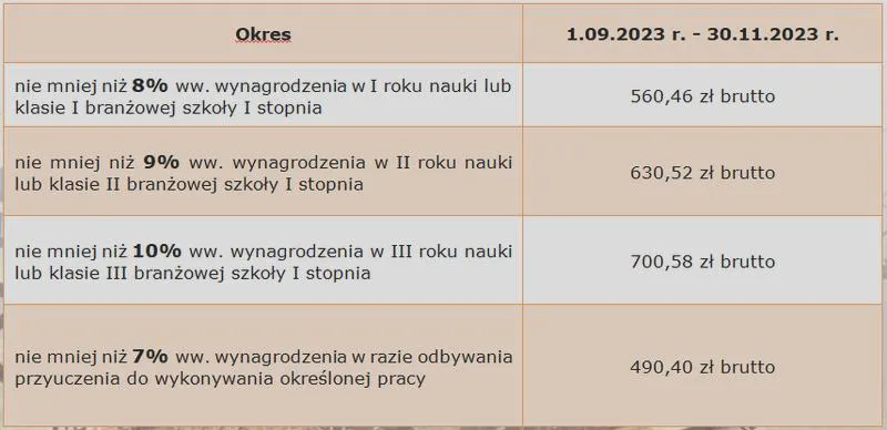 Stawki wynagrodzenia młodocianych