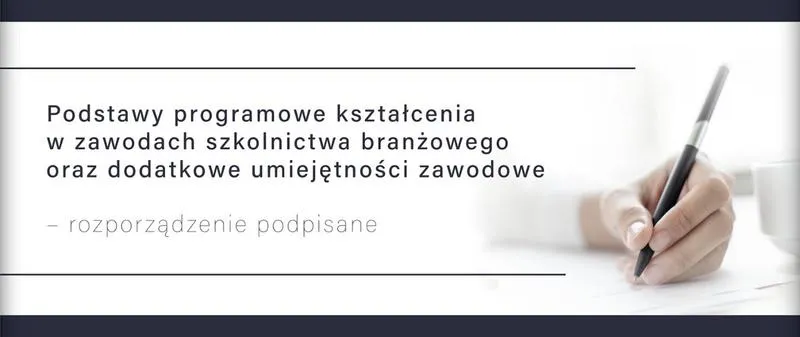 Umiejętności do CV