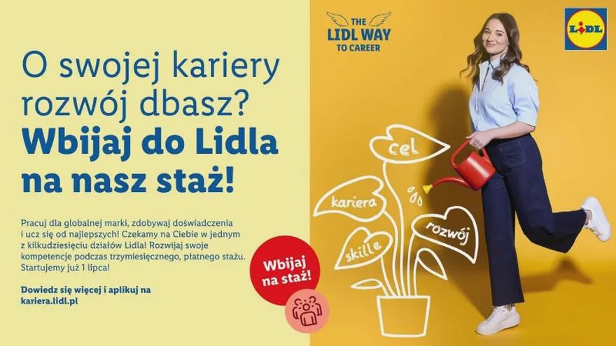 Wymagania do pracy w Lidlu